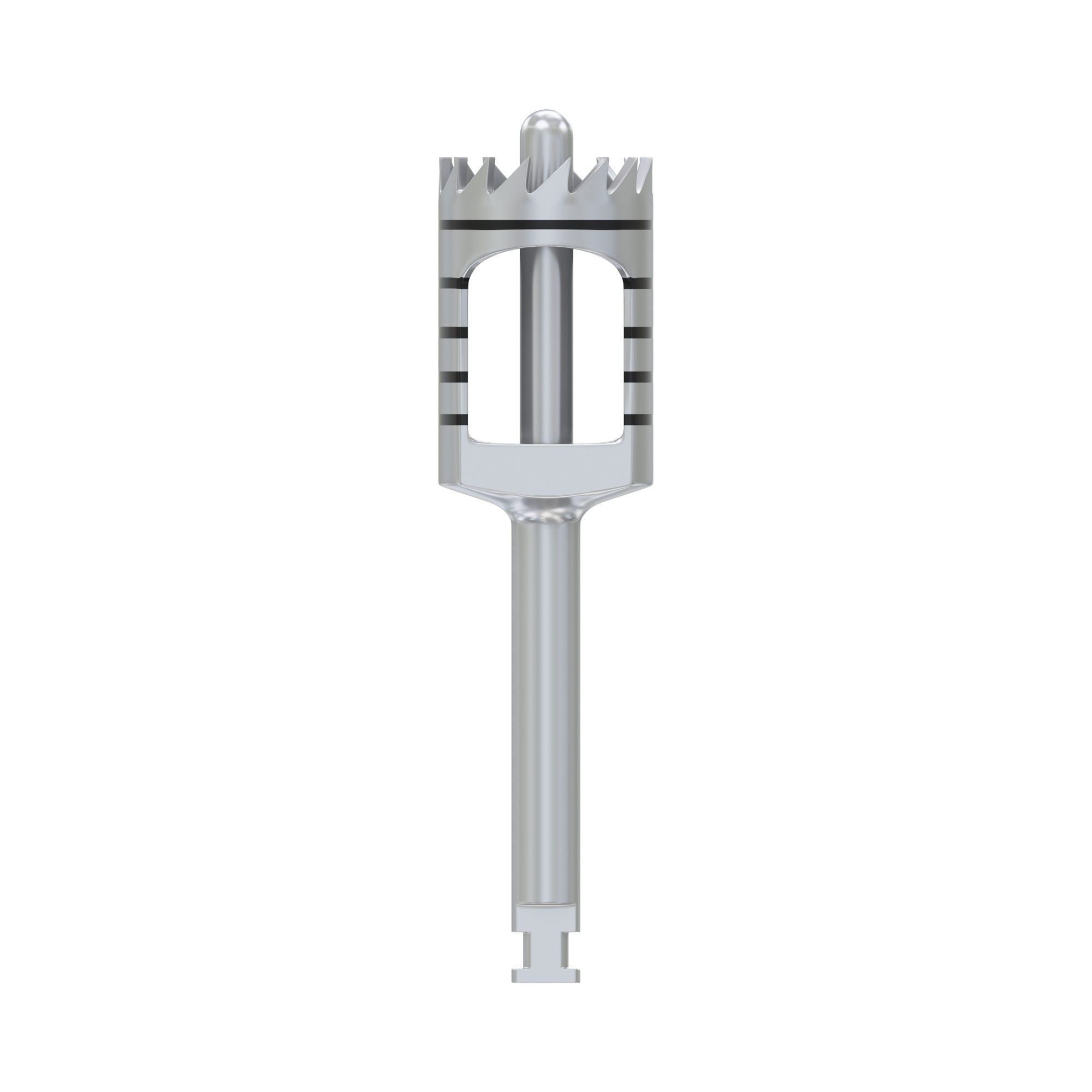 DSI Zenoss Bovine Natural Bone Graft Ring Single Stage DSI Zenoss Bovine Natural Bone Graft Ring Single Stage